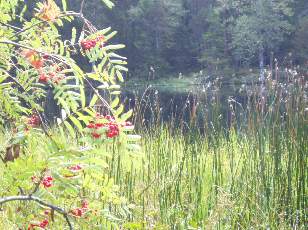 Etang de la Gru�re