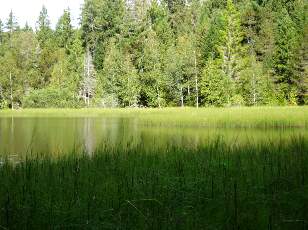 Etang de la Gru�re