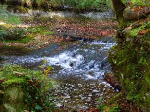 Vall�e du H�risson