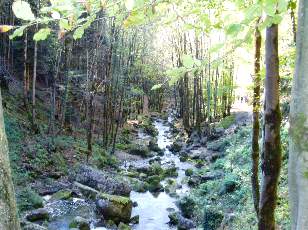 Vall�e du H�risson