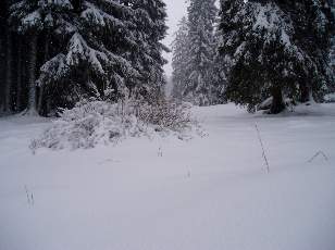 Temp�te sur le Jura