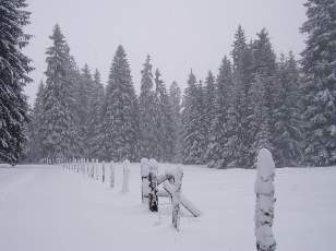 Temp�te sur le Jura