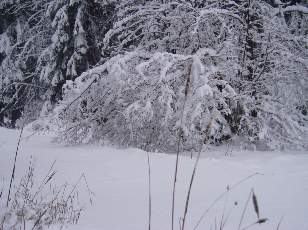 Temp�te sur le Jura