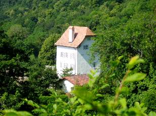 Dans les champs en juillet