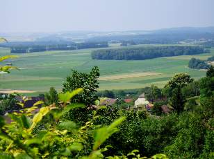 Dans les champs en juillet