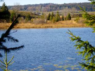 Lac et tourbi�res de Malpas, les pr�s Partot et le bief Belin