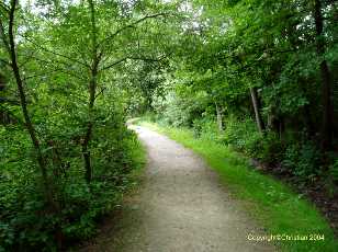 Menhirs n�olithique de Clendy