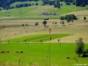 Vall�e des Ponts-de-Martel
