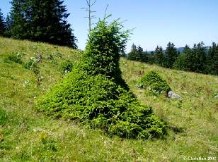 Vall�e des Ponts-de-Martel