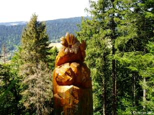 Gentianes bleues 2004