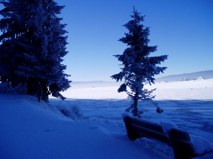 Le lac des Taill�res en hiver