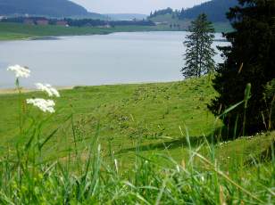 Le lac des Taill�res