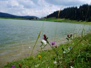Le lac des Taill�res