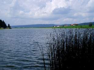 Le lac des Taill�res