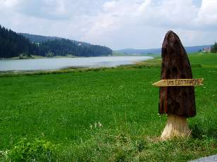 Le lac des Taill�res