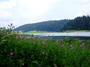 Le lac des Taill�res