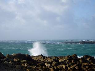 C�tes de Tr�mazan