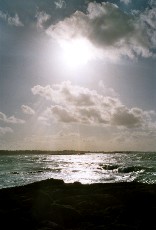 Calme avant la temp�te...