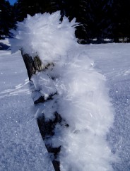 Beaut� et magie de la Nature jouant avec les �l�ments!