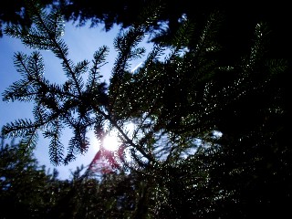 Couleurs d'automne dans le Jura Vaudois � L'Auberson 