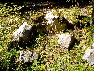Couleurs d'automne dans le Jura Vaudois � L'Auberson 