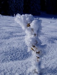 Beaut� de la Nature