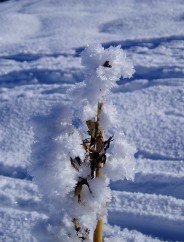 Beaut� de la Nature