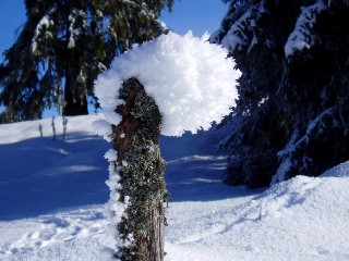 Beaut� de la Nature