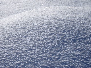 Beaut� de la Nature