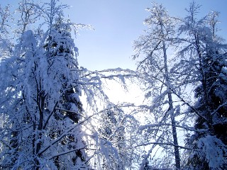 Beaut� de la Nature