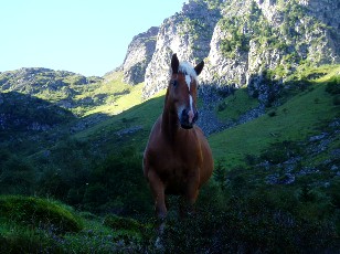 La mont�e au lac Bleu, regard attentif...
