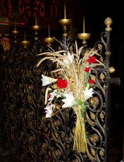 Eglise Saint Martin � Pau