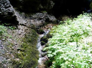 Gorges de la Po�ta-Raisse