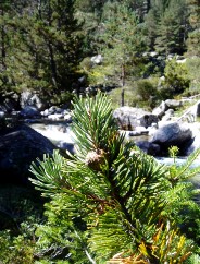 Magie et Beaut� de la Nature au Pont d'Espagne !