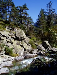 Magie et Beaut� de la Nature au Pont d'Espagne !