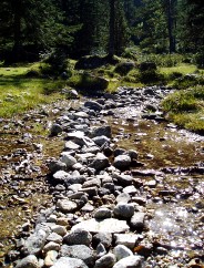 Magie et Beaut� de la Nature au Pont d'Espagne !