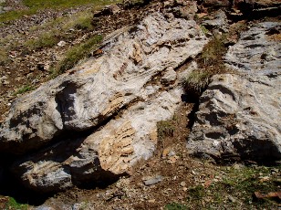 Magie et Beaut� de la Nature