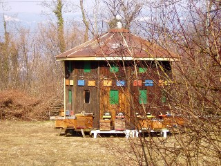 Grande cari�aie, gr�ves de Cheseaux, Champ-Pittet, Yverdon